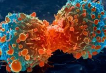 Just 1 to 10 Mutations Cause Most Types of Cancer