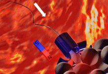 Study Uses Sperm as Cancer-Destroying Missiles