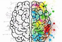 Creative People Use Specific Brain Networks: Study