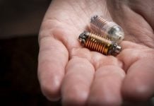 Ingestible Sensor Offers Inside Peek Into Patients’ Gut Health