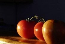 Tomatoes, Apples Boost Lung Health Among Ex-Smokers: Study