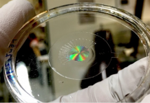 Artificial Eye Corrects Astigmatism, Focuses on Objects Automatically